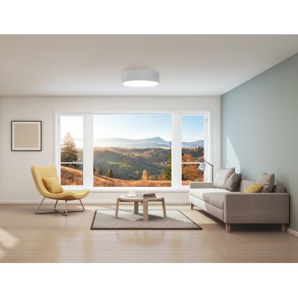 Bathroom ceiling light CLEO 2xE27/24W/230V d. 30 cm white IP54