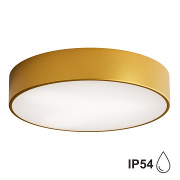 Bathroom ceiling light CLEO 3xE27/24W/230V d. 40 cm gold IP54