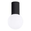 Bathroom ceiling light HALO 1xG9/8W/230V d. 12 cm IP44 black