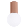 Bathroom ceiling light HALO 1xG9/8W/230V d. 12 cm IP44 brown