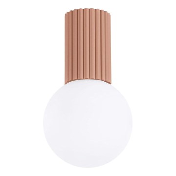 Bathroom ceiling light HALO 1xG9/8W/230V d. 12 cm IP44 brown