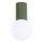 Bathroom ceiling light HALO 1xG9/8W/230V d. 12 cm IP44 green