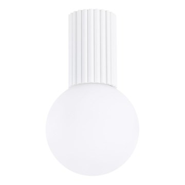 Bathroom ceiling light HALO 1xG9/8W/230V d. 12 cm IP44 white