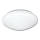Bathroom ceiling light VICTOR 1xE27/60W/230V IP44