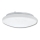 Bathroom ceiling light VICTOR 2xE27/60W/230V IP44