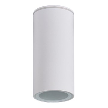 Bathroom spotlight AQILO 1xE14/10W/230V IP65 white