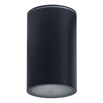 Bathroom spotlight AQILO 1xE27/20W/230V IP65 anthracite