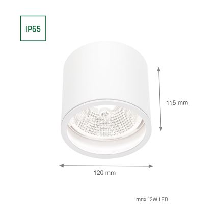 Bathroom spotlight CHLOE AR111 1xGU10/12W/230V IP65 round white