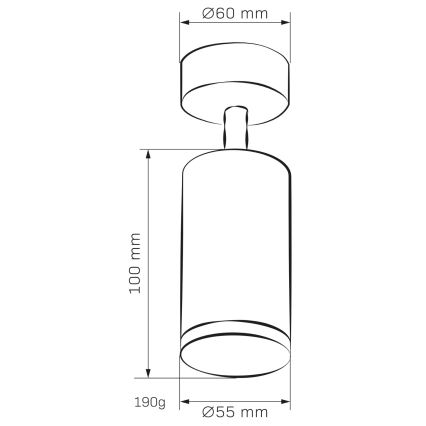 Bathroom spotlight TURYN 1xGU10/10W/230V IP44 black