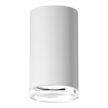 Bathroom spotlight TURYN 1xGU10/10W/230V IP44 white