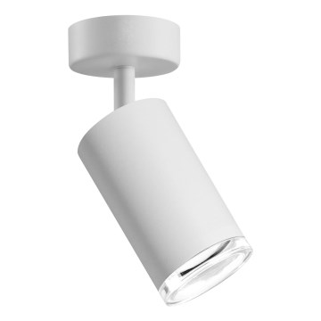 Bathroom spotlight TURYN 1xGU10/10W/230V IP44 white