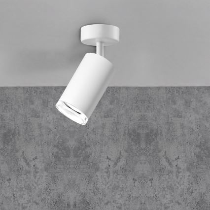 Bathroom spotlight TURYN 1xGU10/10W/230V IP44 white
