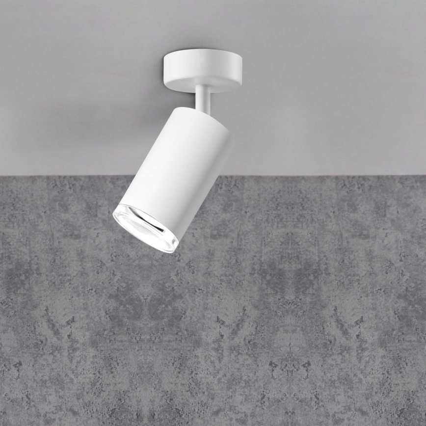Bathroom spotlight TURYN 1xGU10/10W/230V IP44 white