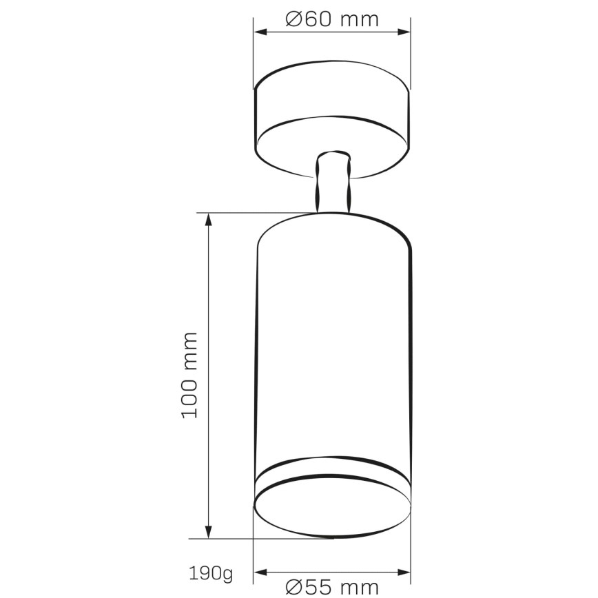 Bathroom spotlight TURYN 1xGU10/10W/230V IP44 white