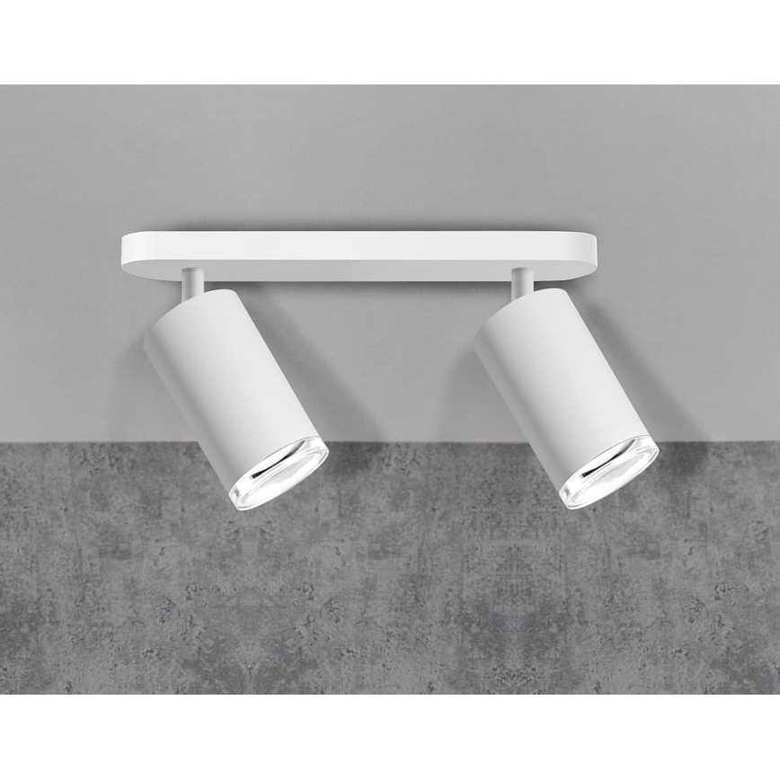 Bathroom spotlight TURYN 2xGU10/10W/230V IP44 white