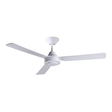 BAYSIDE 213015 - Ceiling fan CALYPSO white