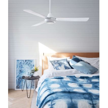 BAYSIDE 213015 - Ceiling fan CALYPSO
