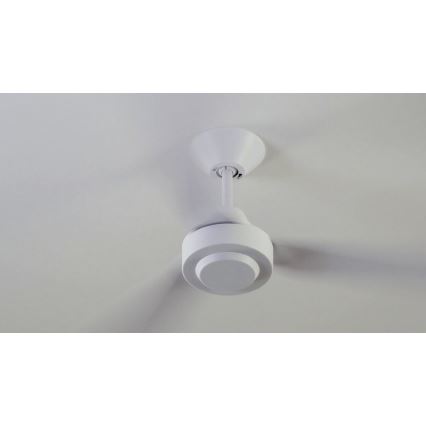 BAYSIDE 213015 - Ceiling fan CALYPSO