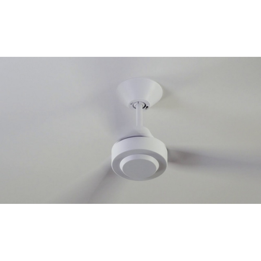 BAYSIDE 213015 - Ceiling fan CALYPSO