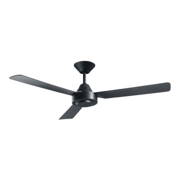 BAYSIDE 213017 - Ceiling fan CALYPSO black