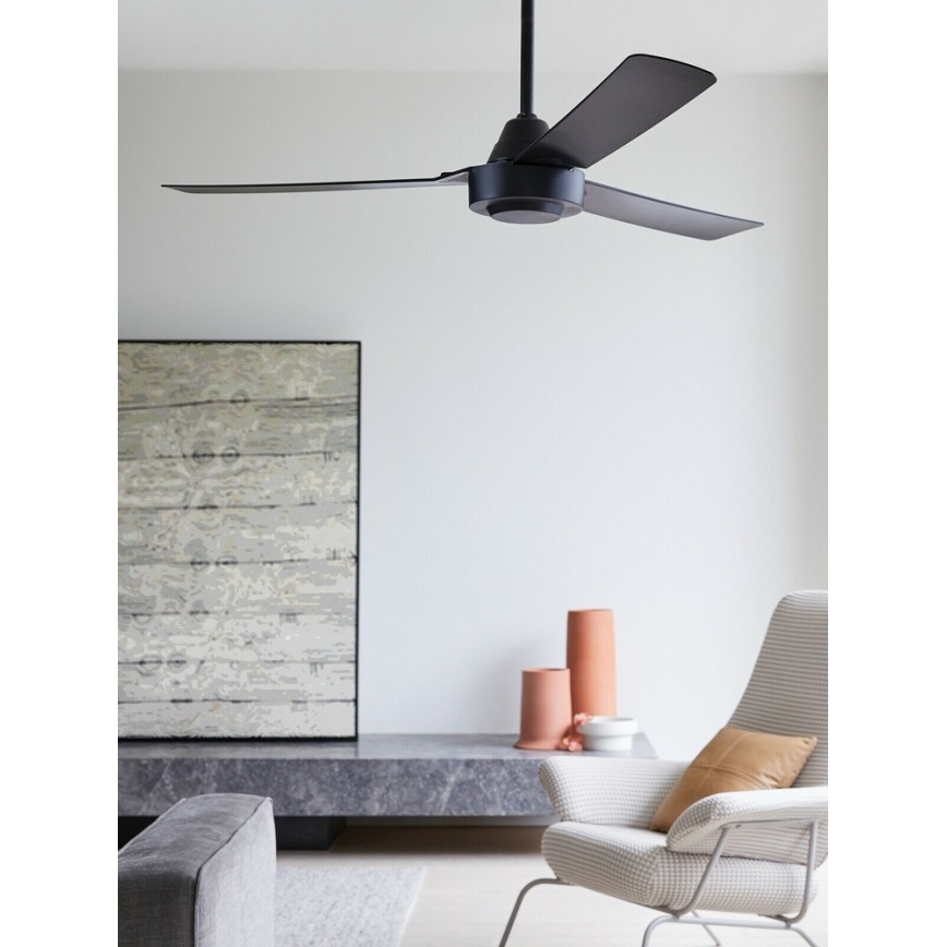 BAYSIDE 213017 - Ceiling fan CALYPSO black