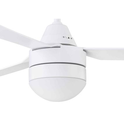 BAYSIDE 531016 - Ceiling fan MEGARA 2xE14/15W/230V white + remote control