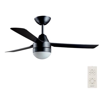 BAYSIDE 531018 - Ceiling fan MEGARA 2xE14/15W/230V black + remote control
