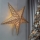 Beige Star LED Christmas Decoration, 20 LEDs, 2×AA, Warm White