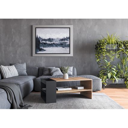 BELA Coffee Table 100x42 cm, Artisan Oak/Anthracite