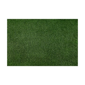 BELLIN Artificial Grass 100x200 cm 18 mm Green