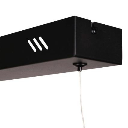 BERNADETTA Cable-Suspended LED Chandelier LED/20W/230V 4000K Black