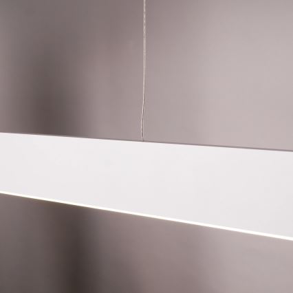 BERNADETTA LED pendant light on cable LED/20W/230V 4000K white