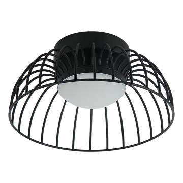 Betsy LED Ceiling Light 12W 230V, 25 cm, Black