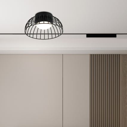 Betsy LED Ceiling Light 12W 230V, 25 cm, Black