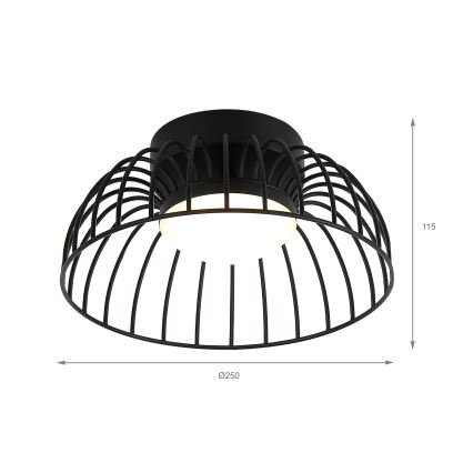 Betsy LED Ceiling Light 12W 230V, 25 cm, Black