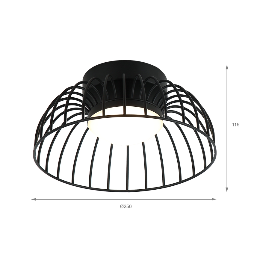 Betsy LED Ceiling Light 12W 230V, 25 cm, Black