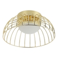 Betsy LED Ceiling Light 12W/230V, 25 cm, Gold