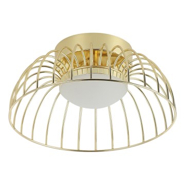 Betsy LED Ceiling Light 12W/230V, 25 cm, Gold