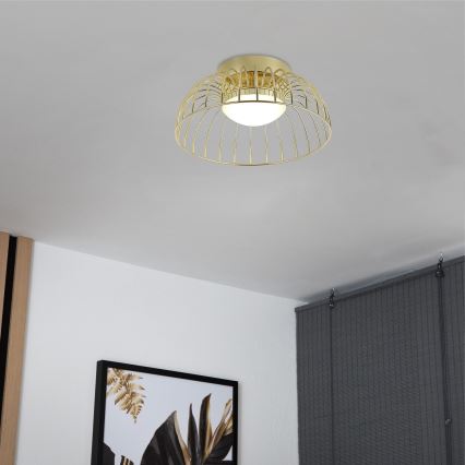 Betsy LED Ceiling Light 12W/230V, 25 cm, Gold