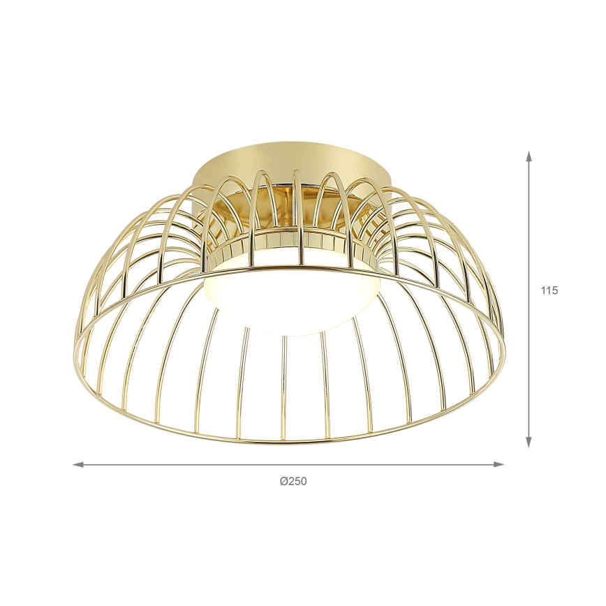 Betsy LED Ceiling Light 12W/230V, 25 cm, Gold