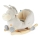 Bieco - Rocker FIPS donkey