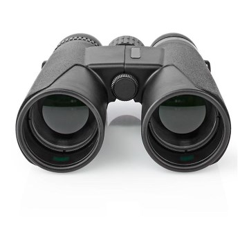 Binocular binoculars 10x42