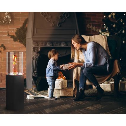 Bioethanol fireplace ROMA 26.5 x 80.5 cm 2 kW black + protective cover