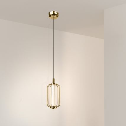 BONNIE cable-hung LED pendant LED/10W/230V 3000K gold