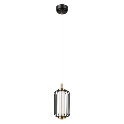 BONNIE LED Cable Pendant Light 10W 230V 3000K Black