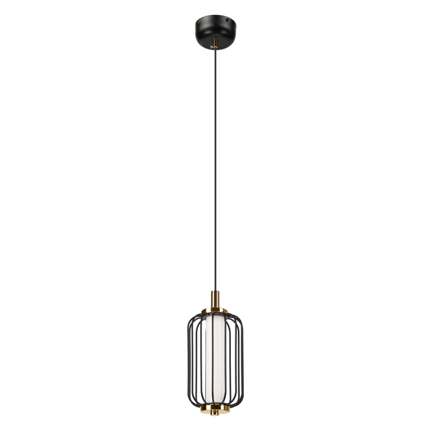 BONNIE LED Cable Pendant Light 10W 230V 3000K Black