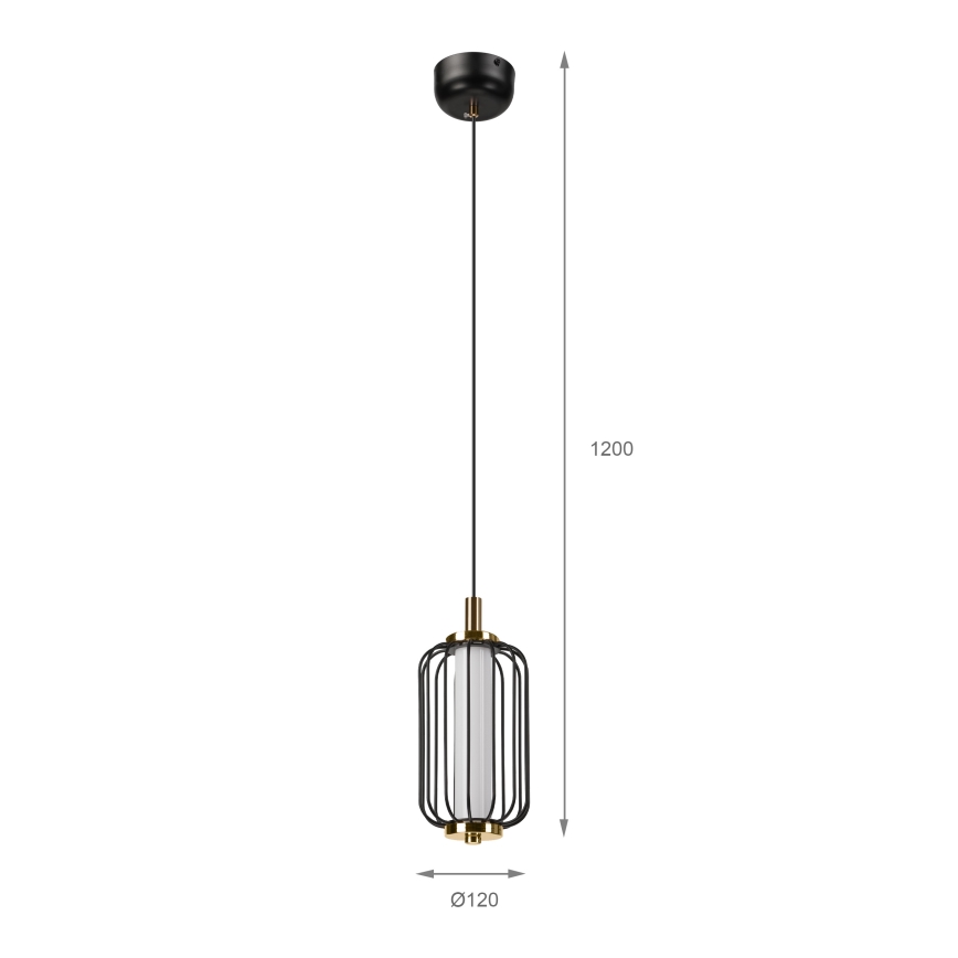 BONNIE LED Cable Pendant Light 10W 230V 3000K Black