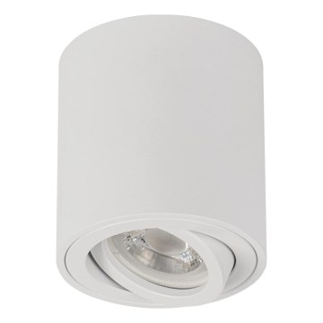 BORD ONE Spotlight 1xGU10/10W/230V White