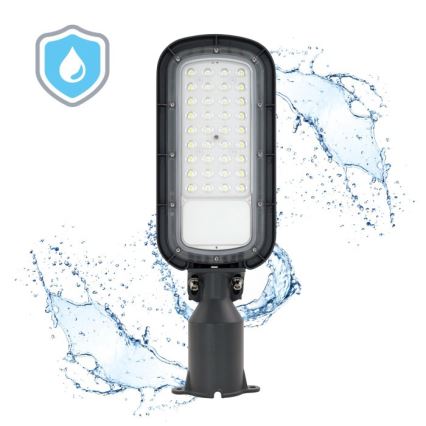 BRELUXO LED Street Light LED/50W/230V 4000K IP65