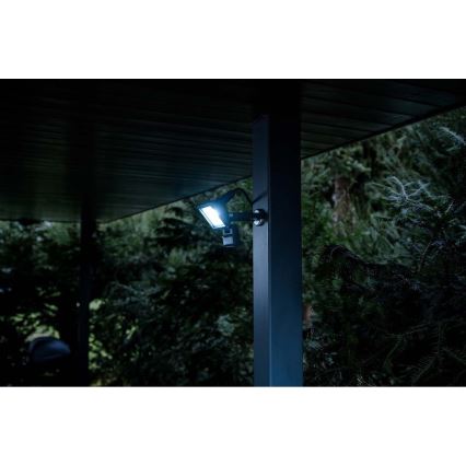 Brennenstuhl - LED Outdoor floodlight with a sensor LED/10W/230V 6500K IP65